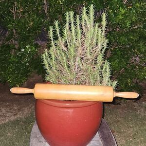 Thorpe Wooden Rolling Pin 4lbs